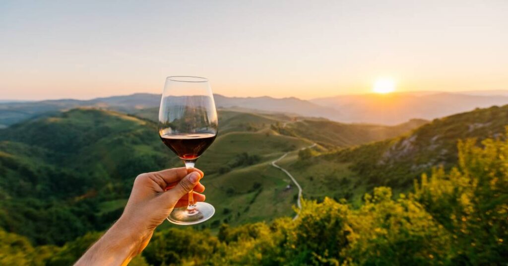 medicos-como-vinhos:-o-tempo-e-o-terroir-moldam-a-excelencia