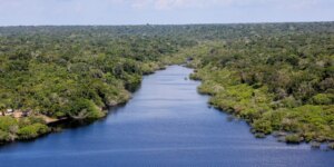 evento-em-belem-discute-transicao-ambiental-com-lideres-empresariais