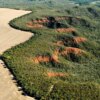 Muito além da soja: uso sustentável do Cerrado é estratégico