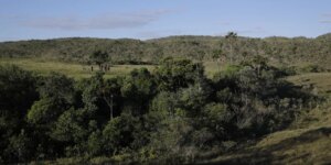 viva-maria-reforca-campanha-pela-protecao-do-cerrado