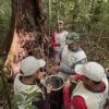Comunidade de Marajó participa de projeto que monitora biodiversidade