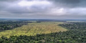 em-40-anos,-amazonia-perdeu-equivalente-ao-territorio-da-franca