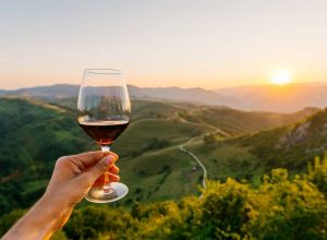 medicos-como-vinhos:-o-tempo-e-o-terroir-moldam-a-excelencia