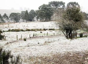 vai-nevar-mais-no-sul?-veja-como-fica-o-tempo-nos-proximos-dias