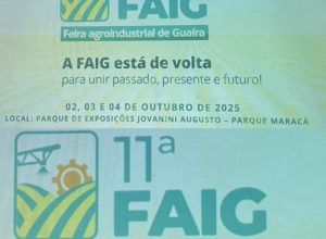 Cartaz FAIG
